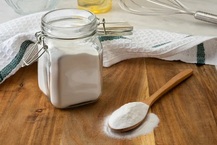 bicarbonate contre les pucerons meilleur produit naturel facile préparer solution pulvériser