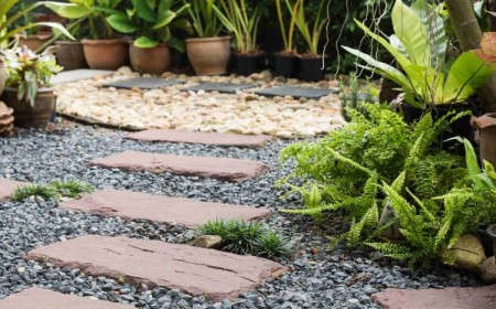 comment aménager son jardin avec du gravier