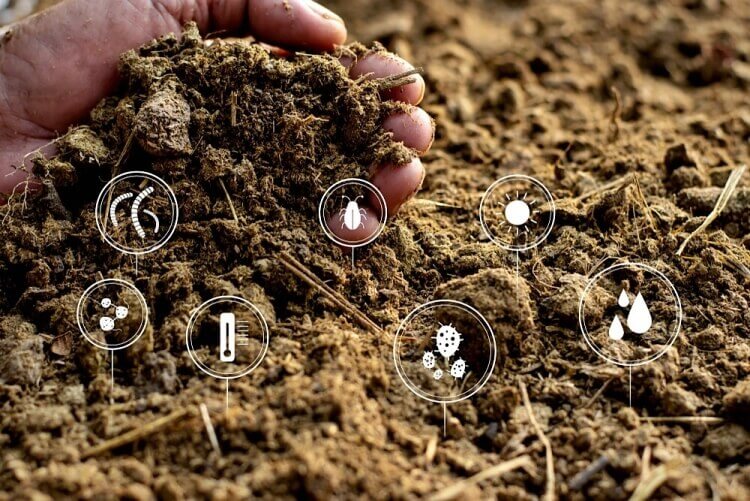 comment analyser la qualité du compost