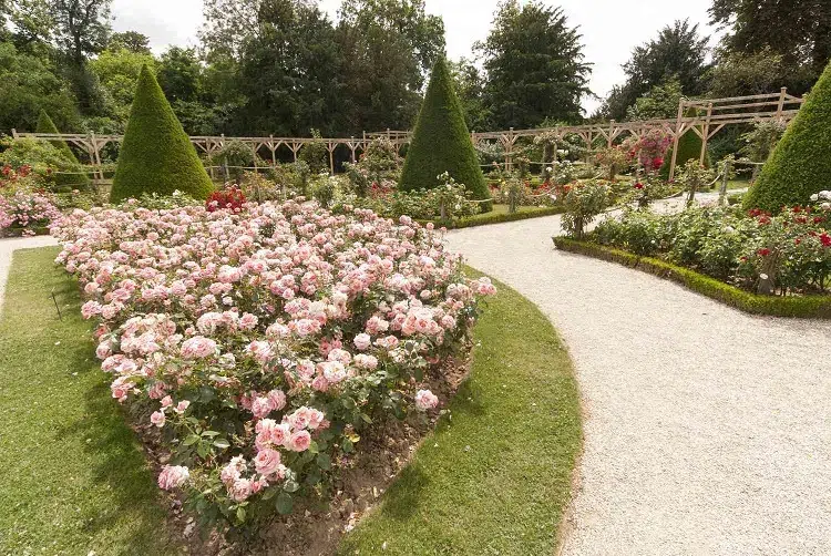 comment créer un jardin français idées plantes vivaces annuelles buis massifs fleurs rosiers arbustes