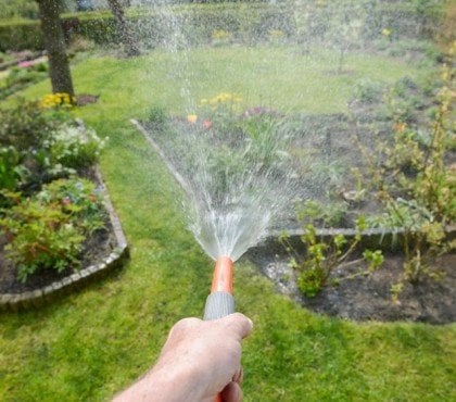comment économiser l'eau dans le jardin