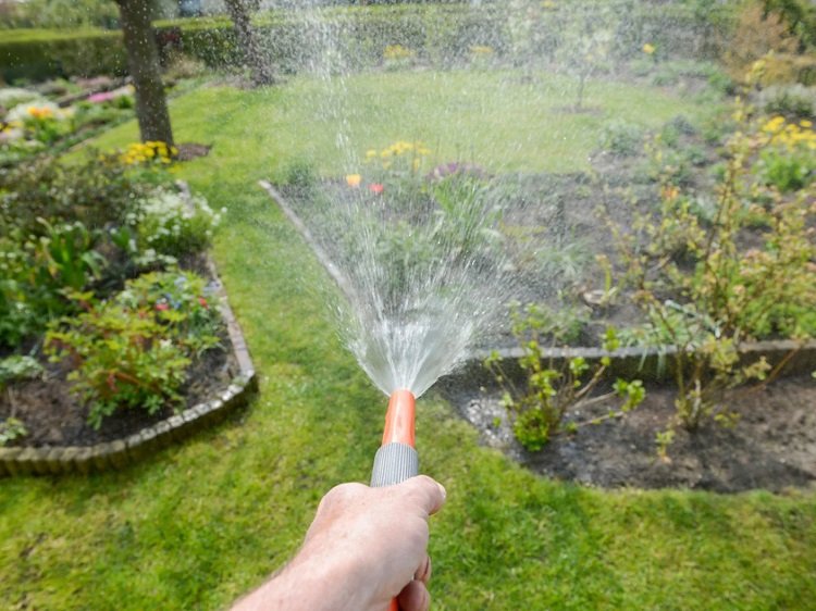 comment économiser l'eau dans le jardin