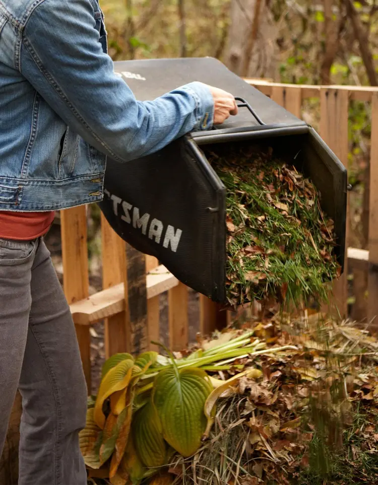 comment faire son compost quel fruits ne pas mettre dans le compost