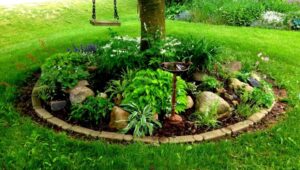 comment faire un parterre de fleurs quelles plantes mettre sous arbre lumière tamisée