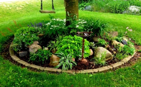 comment faire un parterre de fleurs quelles plantes mettre sous arbre lumière tamisée
