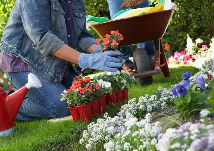 comment faire une bordure de jardin pas cher naturelle fleurs idées aménagement