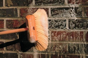 comment nettoyer un mur extérieur très sale facade maison brosse enceinte