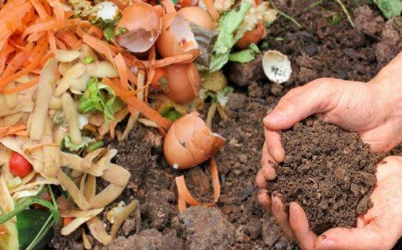 comment réussir son compost erreurs à éviter