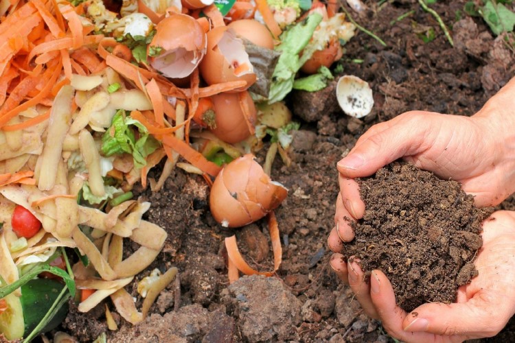 comment réussir son compost erreurs à éviter