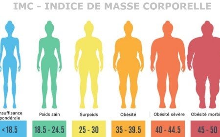 comment savoir si surpoids obèse poids normal indice masse corporelle imc