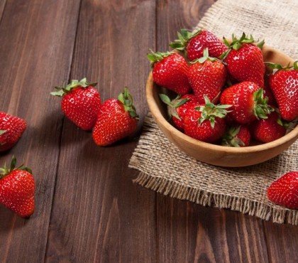 conservation des fraises comment faire 2023