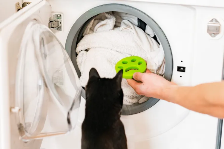 enlever poils d'animaux sur vetements meubles tissu astuce la machine à laver