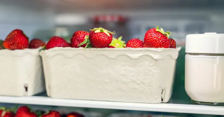 est ce qu'il faut mettre les fraises au frigo 2023