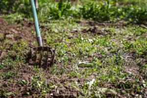 faut il enlever mauvaises herbes avant de retourner la terre jardin