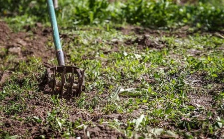 faut il enlever mauvaises herbes avant de retourner la terre jardin