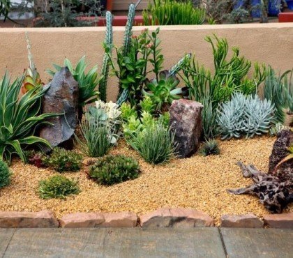 fiche comment faire un jardin de cactus extérieur quelques étapes faciles