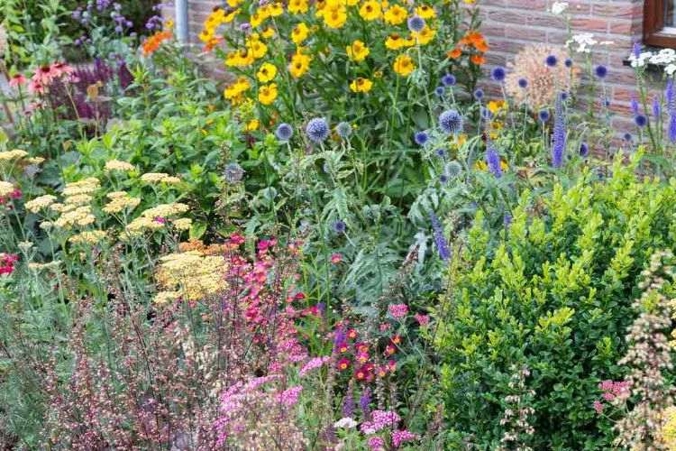 fleurs comestibles à cultiver dans le jardin