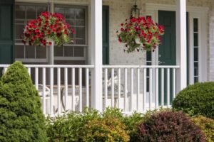 fleurs retombantes pour jardinieres suspendues