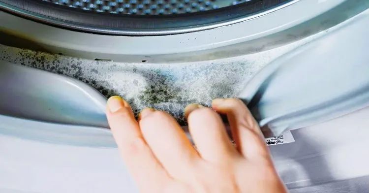 Nettoyer le joint machine à laver : 5 solutions pratiques !