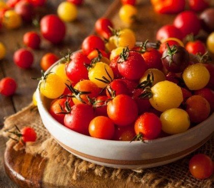 planter des tomates cerises bajaja quand et comment en terre pot jardin balcon