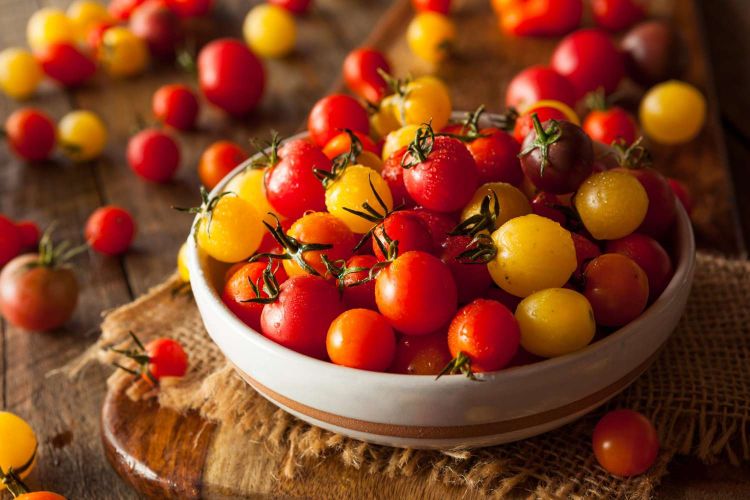 planter des tomates cerises bajaja quand et comment en terre pot jardin balcon