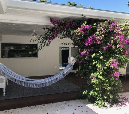 plantes méditerranéennes pour terrasse et balcon bougainvillier pot hamac