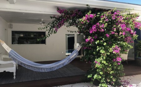 plantes méditerranéennes pour terrasse et balcon bougainvillier pot hamac