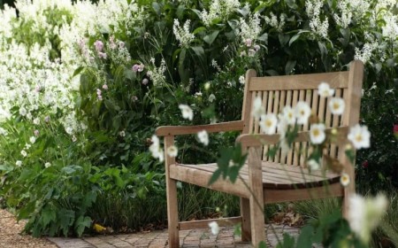 plantes pour jardin orienté nord
