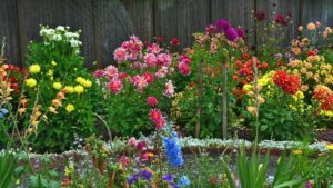 que planter comme fleurs au mois d'avril 2023