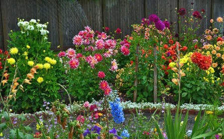 que planter comme fleurs au mois d'avril 2023