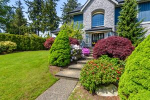 quel petit arbre planter devant une maison en 2023