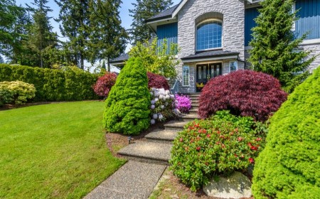 quel petit arbre planter devant une maison en 2023