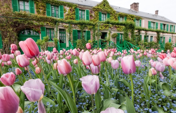 quelles plantes arbustes fleurs arbres choisir pour aménager un jardin à la française moderne chez soi