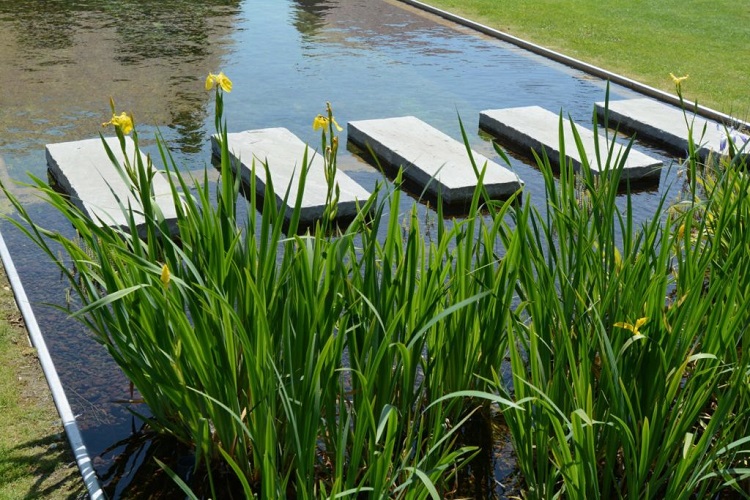 quelles plantes mettre autour d'un bassin exterieur eau jardin vivaces feuillage persistant terrain humide