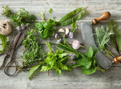 quelles sont les herbes aromatiques à ne pas mettre ensemble
