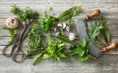 quelles sont les herbes aromatiques à ne pas mettre ensemble