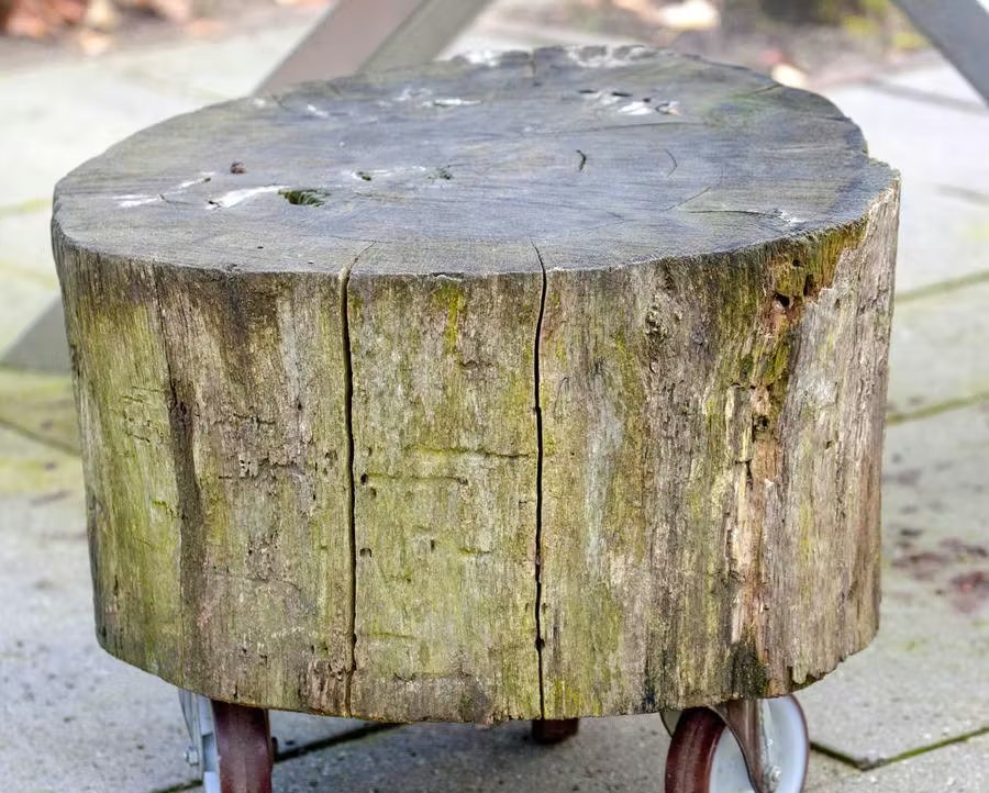 tronc d'arbre déco extérieur