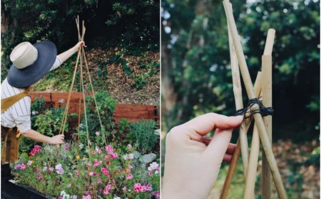 tuto comment fabriquer un support pour plantes grimpantes tipi jardin vent