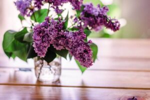 comment conserver les lilas en vase plus longtemps coupe naturelles dans fleurs garder du astuces idees