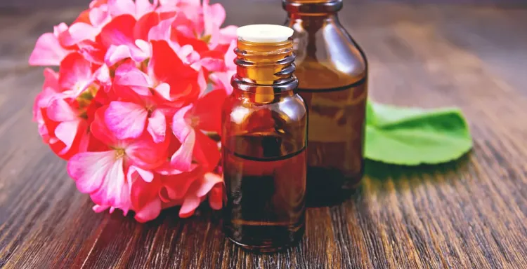 l'huile essentielle de géranium rosat menthe poivree huile de lavande huiles essentielles contre les mouches noires lavande menthe diffuseur moustiques insectes