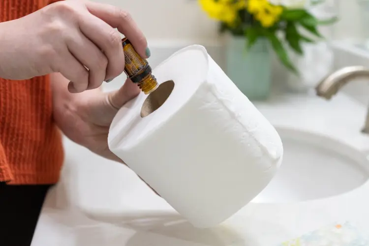 absorber les mauvaises odeurs toilettes huiles essentielles astuces