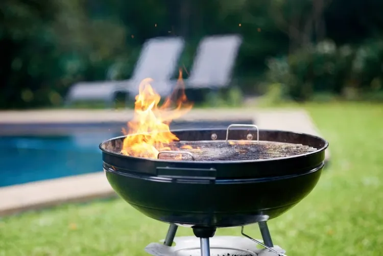 avoir des flammes dans un barbecue préférer nourriture cuite grillée dûment préparée