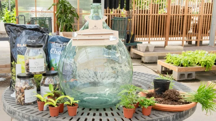 comment faire un jardin en bouteille bon terreau substrat pur récipient stérile