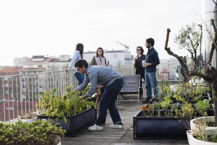 comment faire un toit terrasse végétal couches étanchéité isolation drainage géotextile