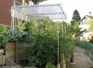 comment protéger les tomates de la pluie faire un abri idées diy