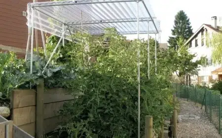 comment protéger les tomates de la pluie faire un abri idées diy