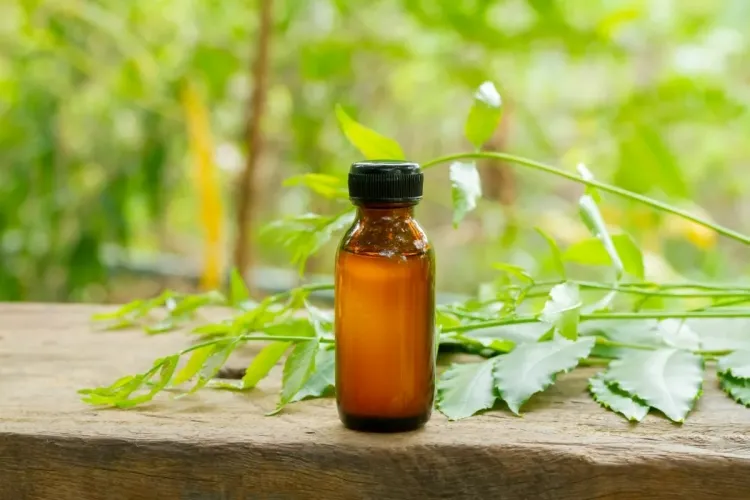 comment se débarrasser de la courtilière naturellement huiles essentielles agissent bloquant respiration insectes