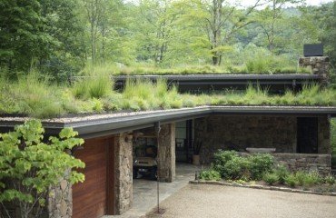 comment végétaliser son toit graminées spectacle deschampsia flexuosa herbe ornementale