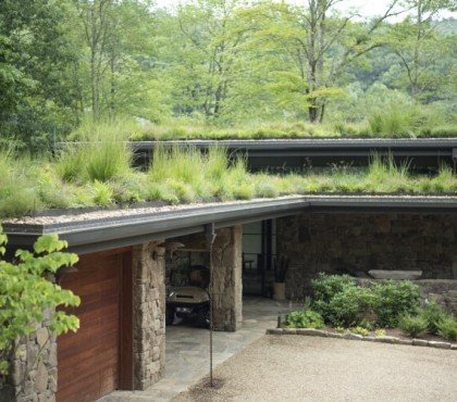 comment végétaliser son toit graminées spectacle deschampsia flexuosa herbe ornementale