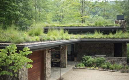 comment végétaliser son toit graminées spectacle deschampsia flexuosa herbe ornementale